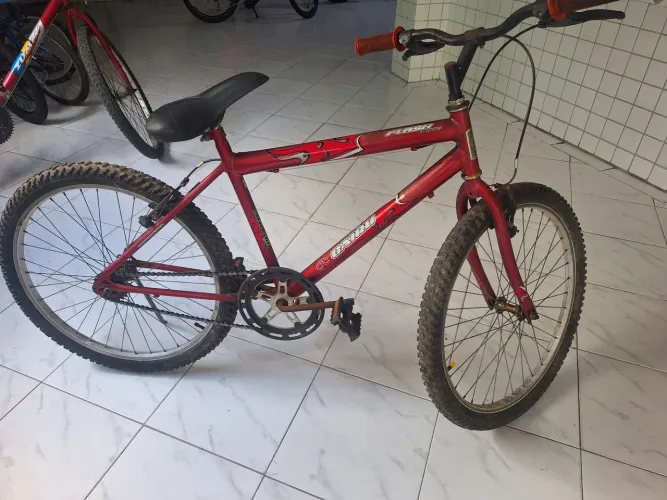Bicicleta
