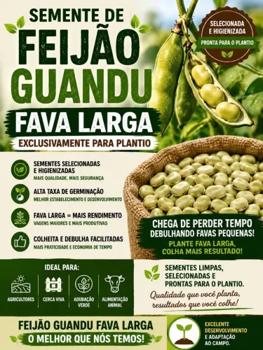 Semente de Guandú