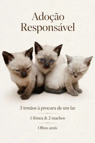 Doação