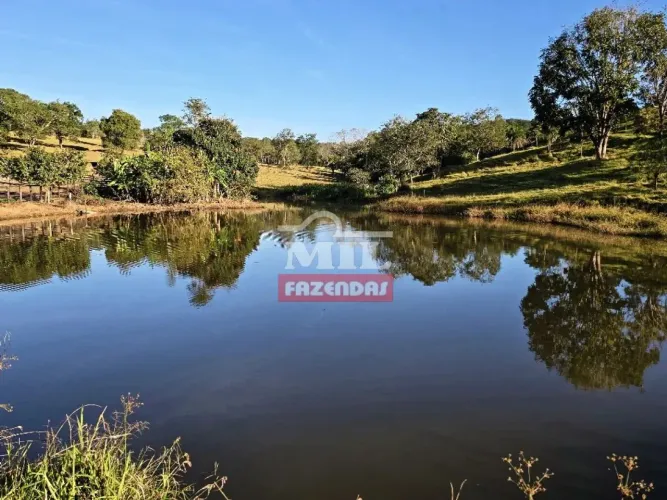 Fazenda 54 Alqueires (261,36 Hectares) Crominia - GO