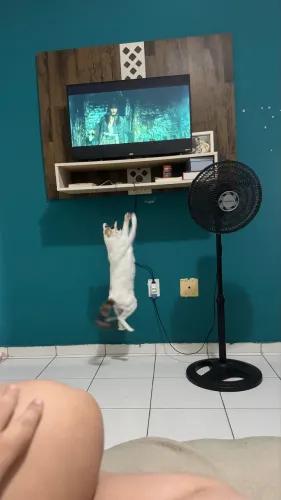 Vendo painel de TV