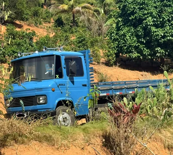 Caminhão Mercedes-Benz 608D Revisado