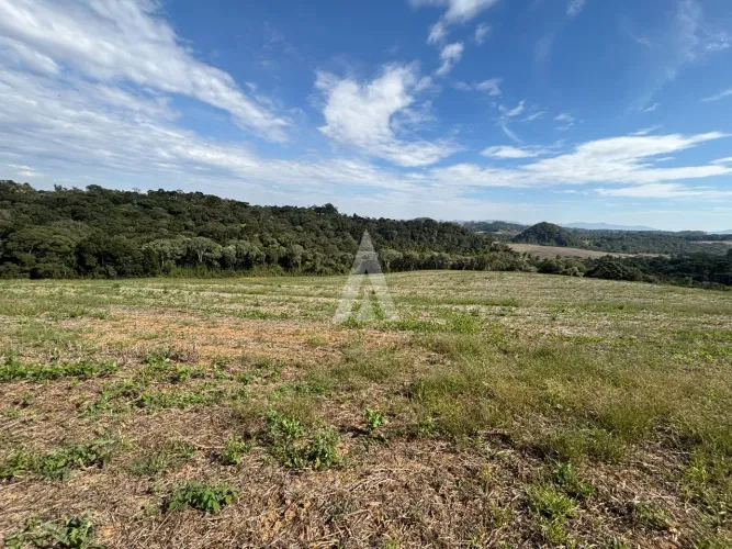 Terreno rural à venda na localidade de Bateias do Meio, em Campo Alegre, por R$ 3.400.000,