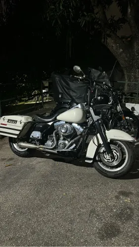 ROAD KING POLICE