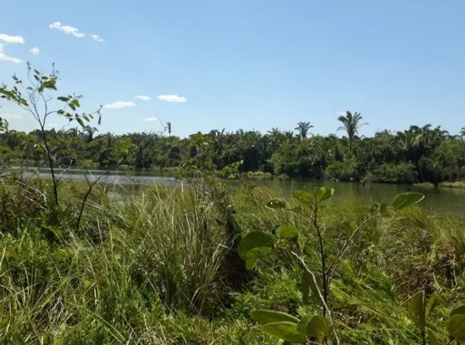 Chácara na Beira do Lago: Com mais de 1 hectare de Área Privilegiada. Oportunidade Única.