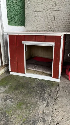 Casa para cachorro
