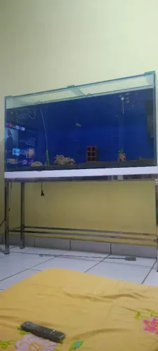 Vendo aquário completo com mesa de inox 