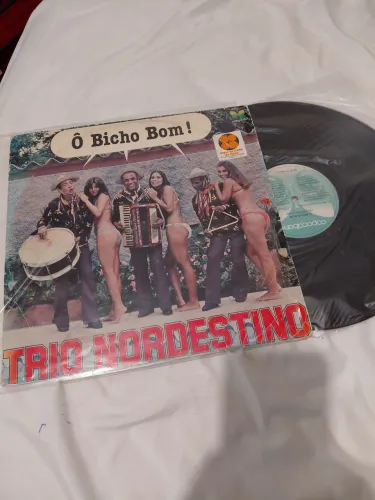 Disco vinil trio nordestino