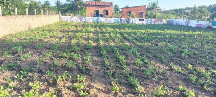 Itapuranga povoado sape 3 