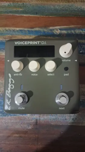 Lr Baggs Voiceprint Di