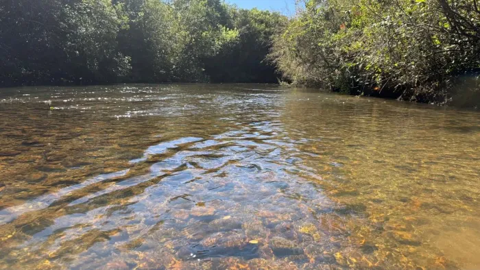 Chácara de 3mil mt com acesso coletivo ao rio dos bois!
