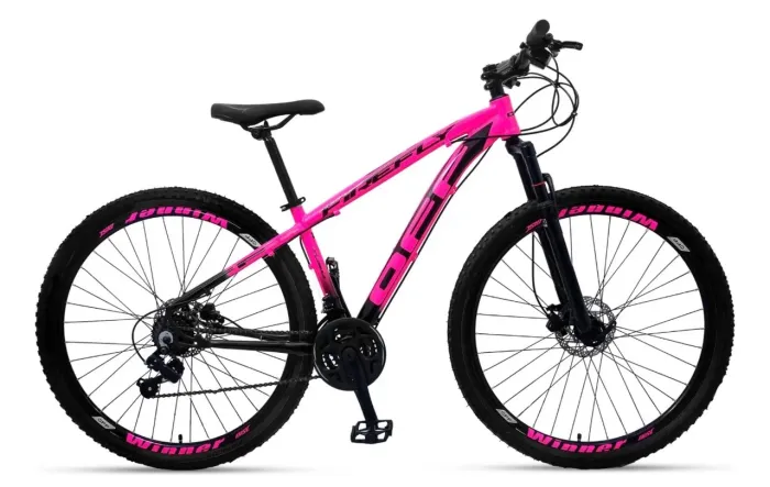 Bicicleta Mountain Bike Aro 29 Off Firefly Freio A Disco