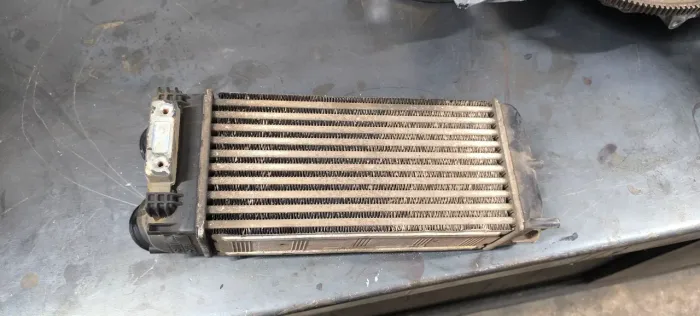 Intercooler linha Peugeot Citroen thp.original 