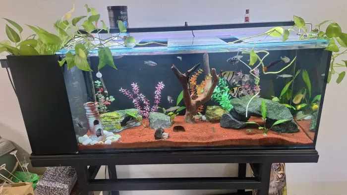 Aquario 200 litros