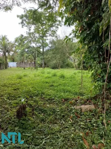 Terreno para Venda em São Sebastião, jaraguá