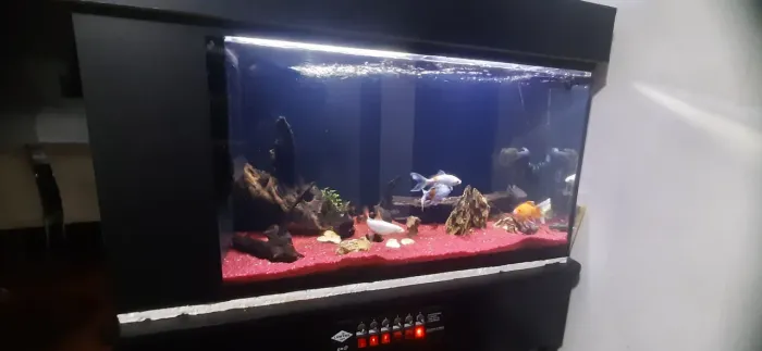 Aquario 200 lt completo 