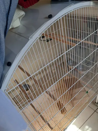 Vendo gaiola seminova