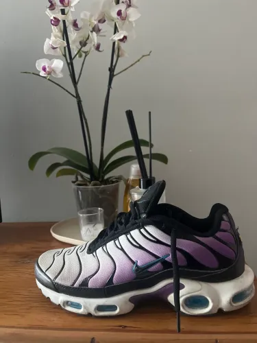 Tênis Nike Tn air Max