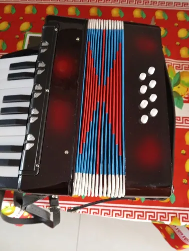 Acordeon 22 baixo