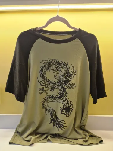 Camiseta dragao