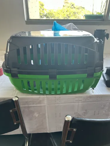 Caixa de transporte de animais