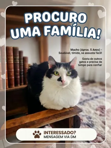 Adoção responsável