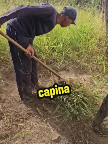 Serviço de Capinação de rua R$ 150,00
