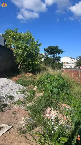 Jardim Vitória - Excelente Terreno Plano c/ 410m² !!!