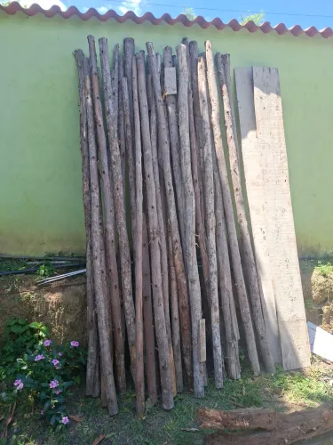 ESCORA DE EUCALIPTO 