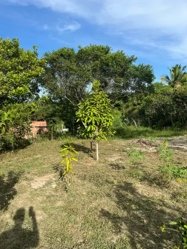 Terreno na zona rural de mata de São João
