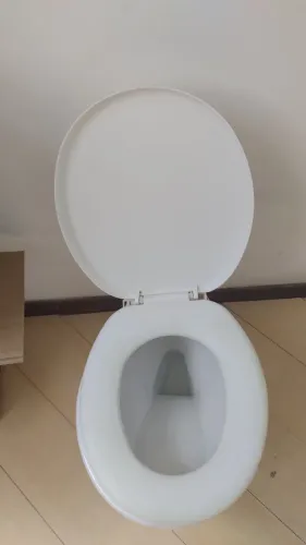 Bacia sanitária comum
