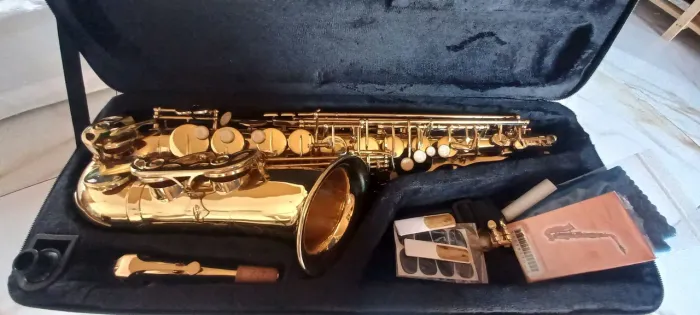 Saxofone Alto Harmonics (Novo na caixa)
