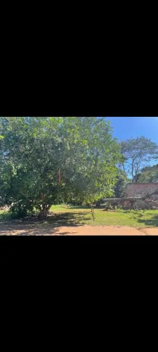 Troco terreno + moto