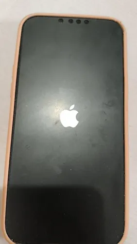iPhone 13pro max 256gb