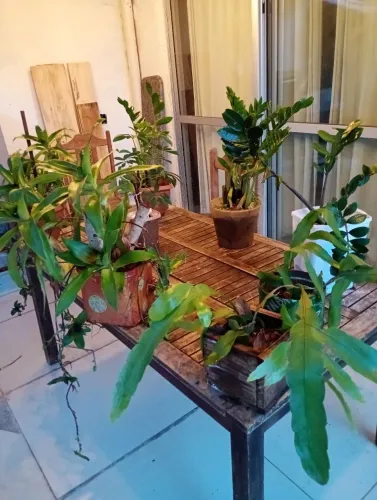 Arranjos para Mesa e recepção 