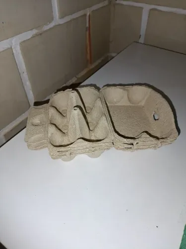 Embalagens de ovos