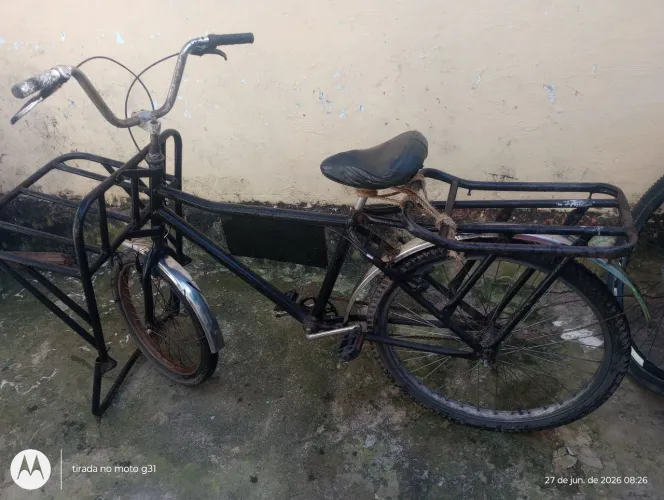 Bicicleta cargueira 