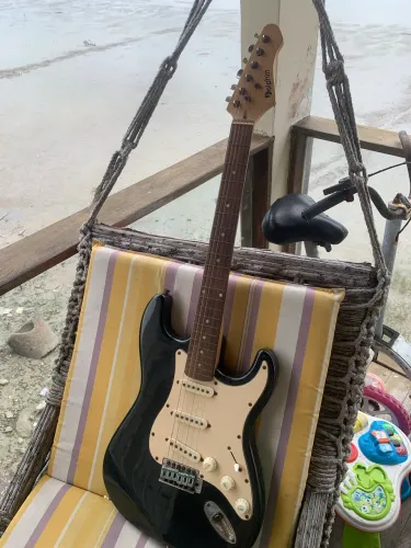 Guitarra Dolphin Stratocaster