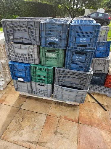 Caixas plasticas para frutas e verduras