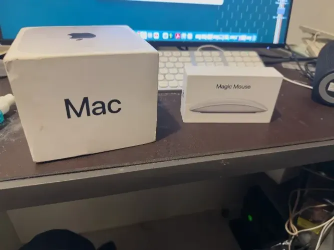 Kit Mac Mini M4 16/256 gb + Teclado Satechi, Magic Mouse e monitor Dell de 24 polegadas