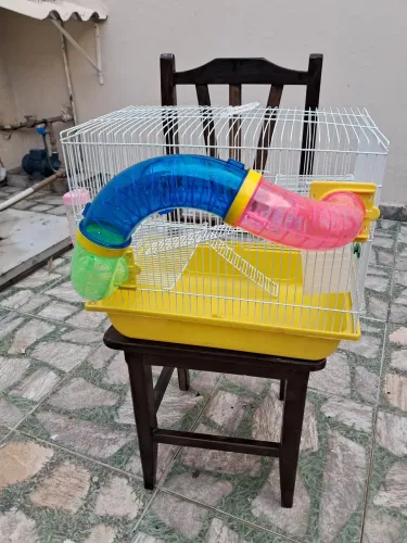 Vendo gaiola para ramister