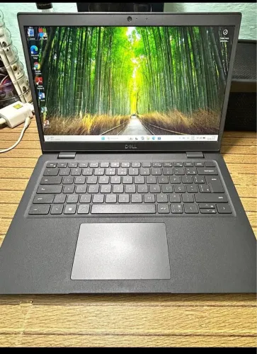 DELL LATITUDE 3420