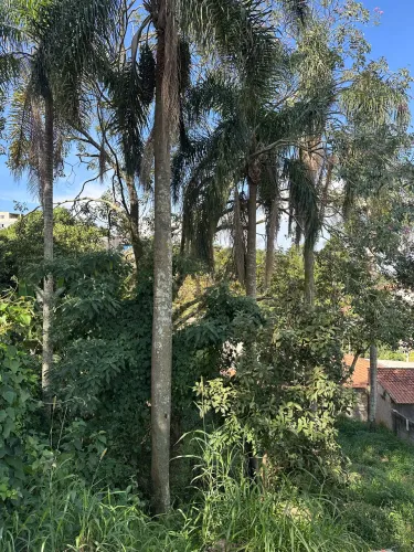 Vaga pedreiro experiencia com pilotis e alvenaria estrutural