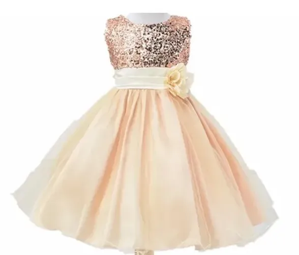Vestido de Princesa, Festa, Dama, Aniversário