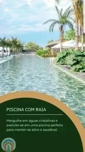 Bananeiras - haras da serra