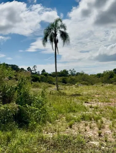 Terreno localizado em Penha!