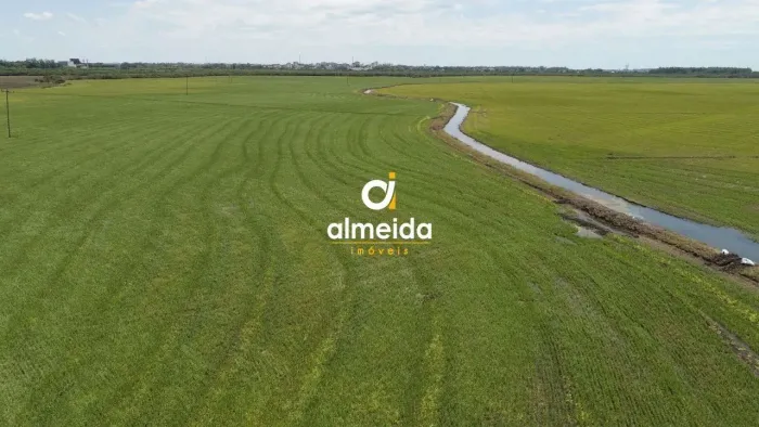 Fazenda localizada em Alegrete com 502 ha com excelente logística