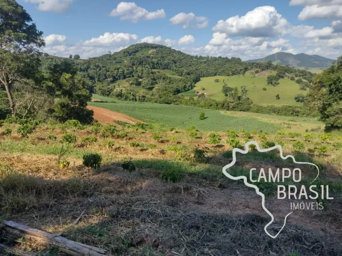 FAZENDA 80 HECTARES EM CONCEIÇÃO DO RIO VERDE - MG !
