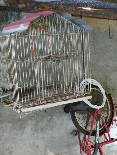 Gaiola para pássaros em bom estado 