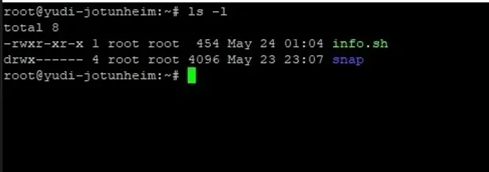 VPS Premium Brasil - Docker - Bots - Sites